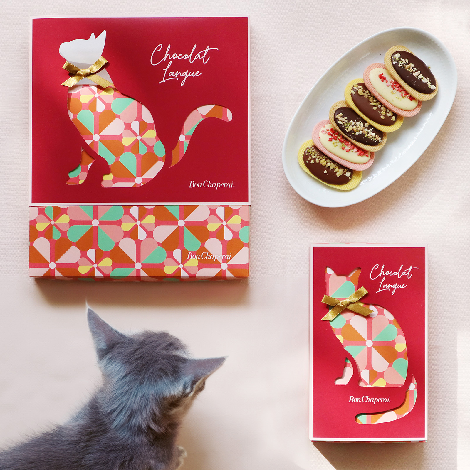 ボンシャペリー バレンタイン パッケージデザイン_1